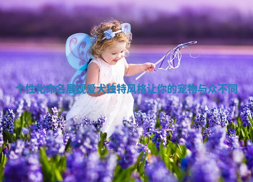 个性化命名展现爱犬独特风格让你的宠物与众不同