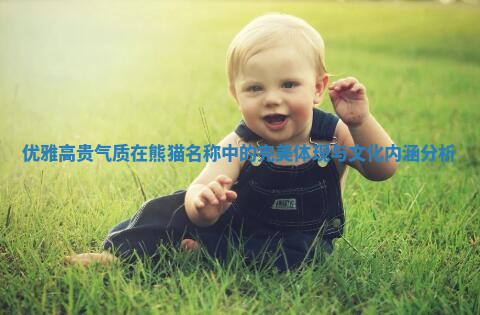 优雅高贵气质在熊猫名称中的完美体现与文化内涵分析