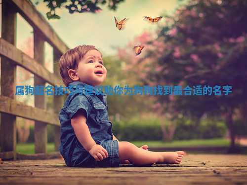 属狗起名技巧与建议助你为狗狗找到最合适的名字