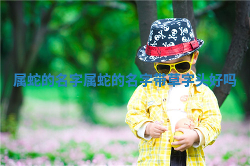 属蛇的名字 属蛇的名字带草字头好吗