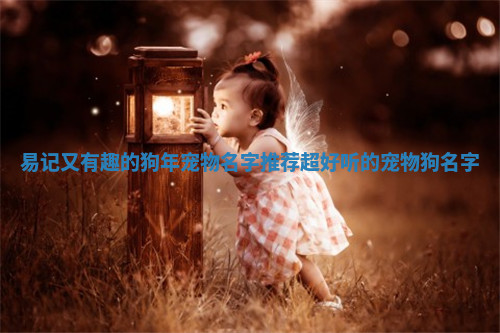 易记又有趣的狗年宠物名字推荐_超好听的宠物狗名字