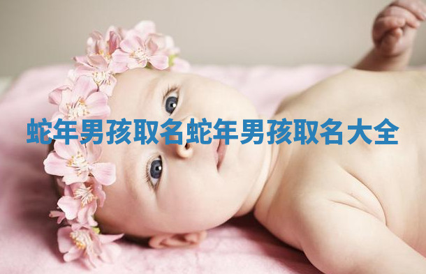 蛇年男孩取名_蛇年男孩取名大全
